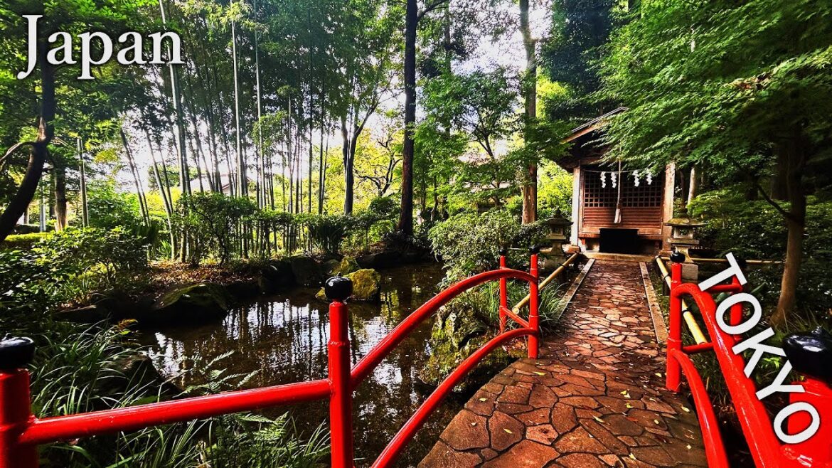 美しき日本の原風景⛩️時代を超える旅にあなたを招待します【東京】