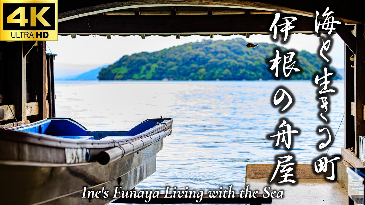 【海と生きる町 伊根の舟屋】海から眺める伊根の舟屋|カモメ餌やり体験と観光船の旅|伊根の舟屋めぐり|海と隣り合う暮らし|京都観光|Kyoto ...