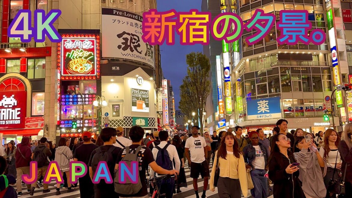 4K HDR Shinjuku Evening Tour & Shinjuku Station Underground Shopping Mall View. Tokyo, Japan. 4K HDR Shinjuku Evening Tour & Shinjuku Station Underground Shopping Mall View. Tokyo, Japan.