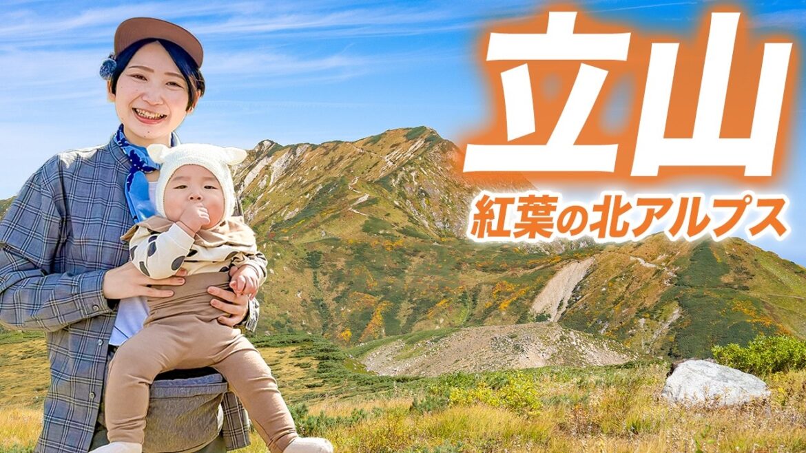 【紅葉の立山】立山黒部アルペンルートで紅葉見頃の室堂へ!扇沢から行く北アルプス日帰りハイキング 【紅葉の立山】立山黒部アルペンルートで紅葉見頃の室堂へ!扇沢から行く北アルプス日帰りハイキング