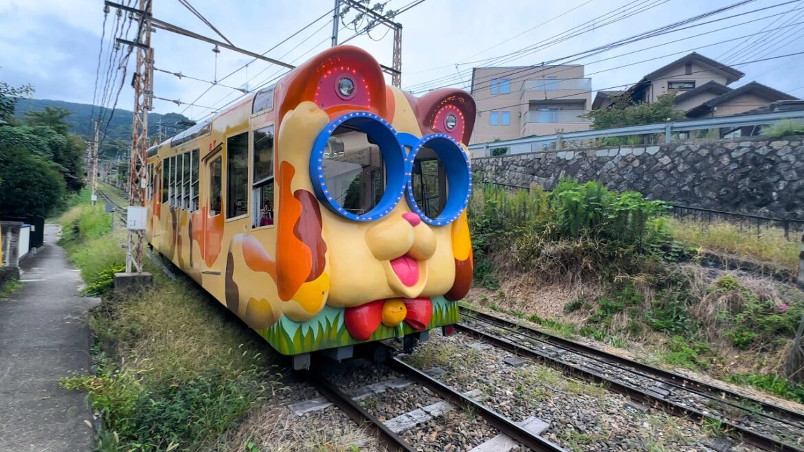 【猫】日本が世界に誇る通勤列車!住宅街を朝から晩まで疾走中【犬列車もあります】 【猫】日本が世界に誇る通勤列車!住宅街を朝から晩まで疾走中【犬列車もあります】