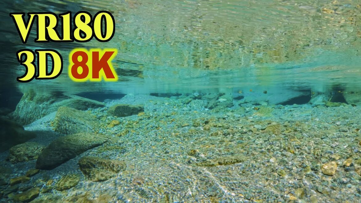 [ 8K 3D VR180 ] 仁淀ブルー：透明度無限大のクリスタル・ウォーターの水中世界：仁淀川・安居渓谷