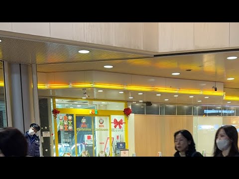 【2025】 251115 浅草ROXから歩きます 【2025】 251115 浅草ROXから歩きます