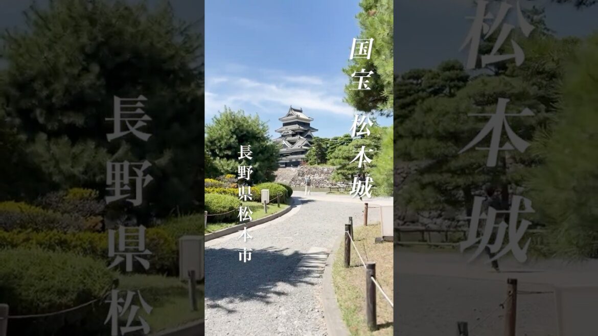 夏の終わり…、国宝「松本城」【長野県松本市】 #nagano #旅行 #松本城 #matsumoto #信州 #絶景 夏の終わり…、国宝「松本城」【長野県松本市】 #nagano #旅行 #松本城 #matsumoto #信州 #絶景