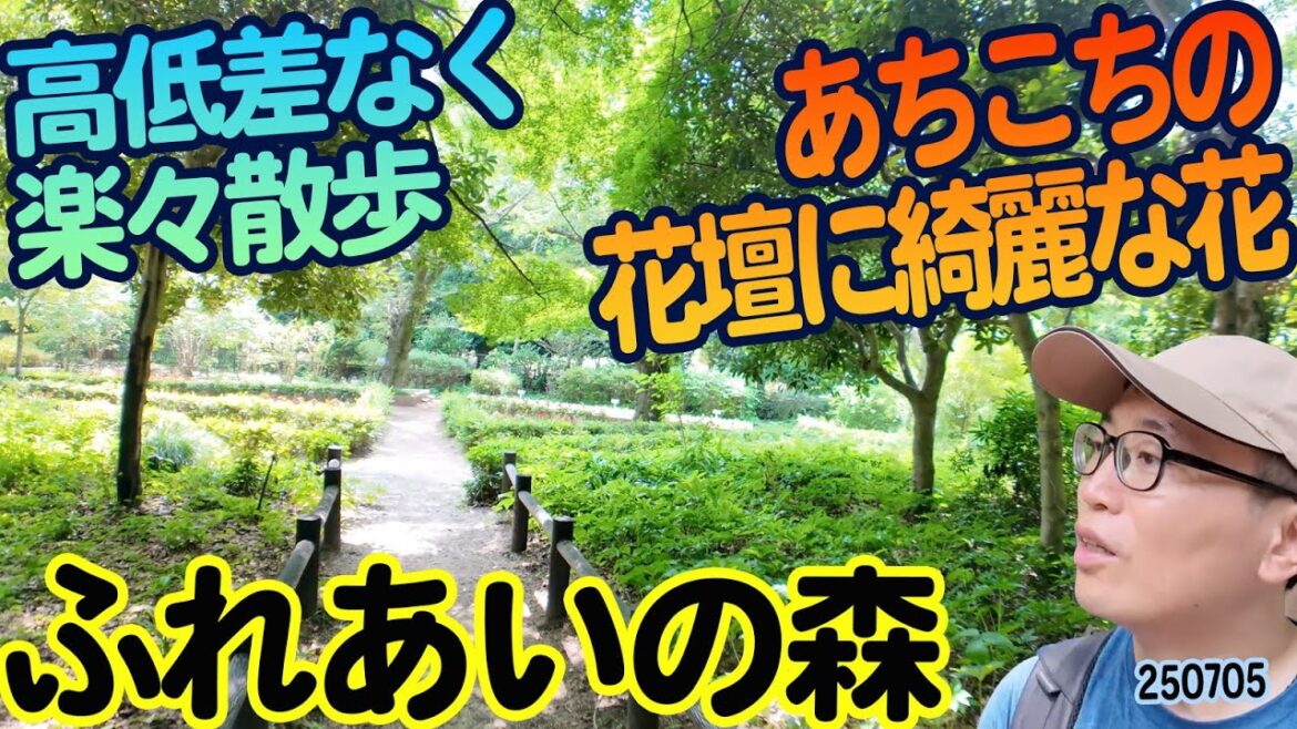 『ふれあいの森』神奈川県大和市上草柳:あちこちの花壇の花が綺麗! 『ふれあいの森』神奈川県大和市上草柳:あちこちの花壇の花が綺麗!