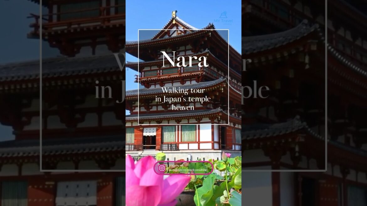 【Nara】☆Walking tour in Japan’s temple heaven☆ 【Nara】☆Walking tour in Japan’s temple heaven☆