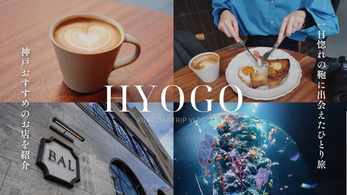 【神戸観光ひとり旅Vlog】心ときめくおしゃれ雑貨、カフェ、ランチ 自由気ままに巡る三宮大人カメラ旅 神戸観光おすすめコース 兵庫観光 Kobe Vlog 【神戸観光ひとり旅Vlog】心ときめくおしゃれ雑貨、カフェ、ランチ 自由気ままに巡る三宮大人カメラ旅 神戸観光おすすめコース 兵庫観光 Kobe Vlog