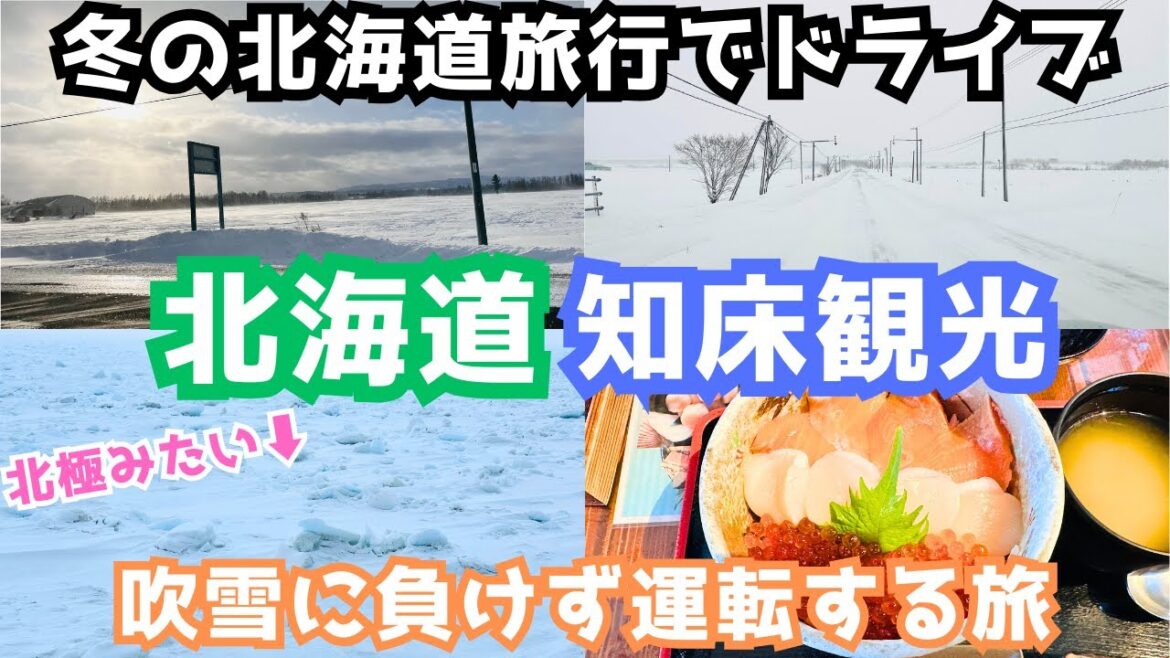 【北海道観光】冬の知床を観光したら過酷すぎた 【北海道観光】冬の知床を観光したら過酷すぎた
