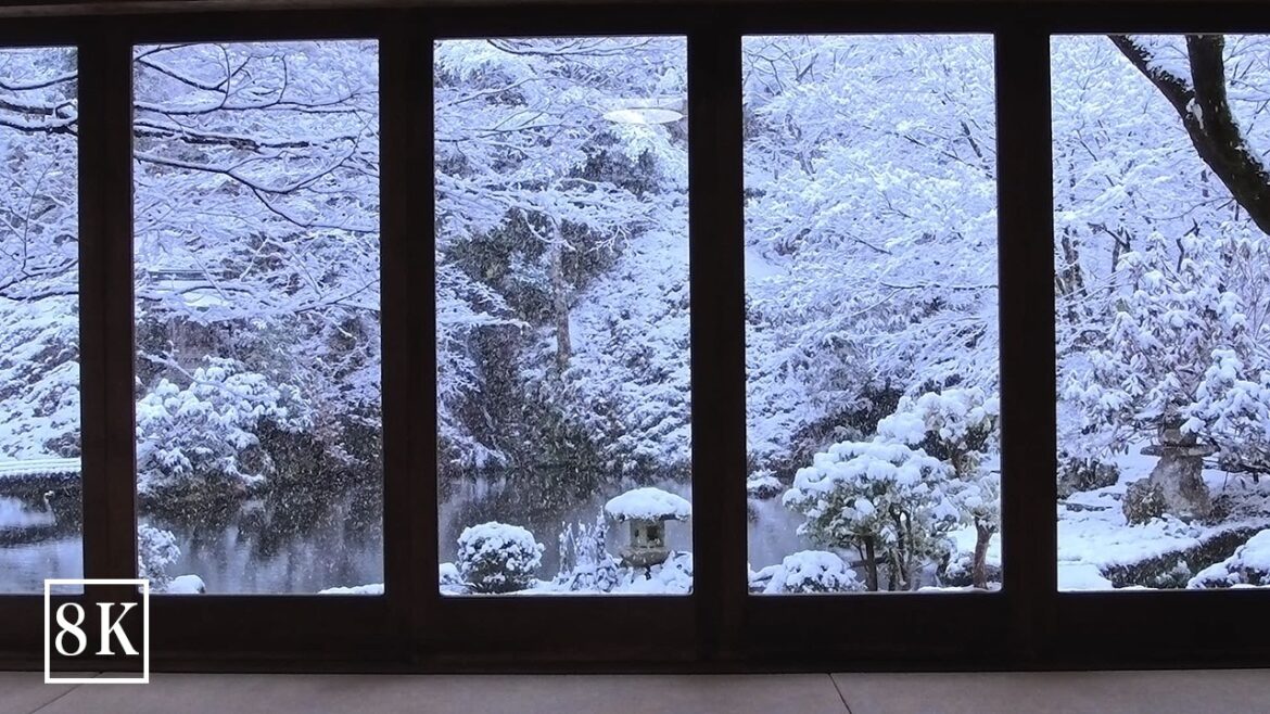 Heavy Snowfall in Gujo Hachiman | Gifu JAPAN | Walking Tour 8K | Relaxing Lofi and ambient sounds Heavy Snowfall in Gujo Hachiman | Gifu JAPAN | Walking Tour 8K | Relaxing Lofi and ambient sounds