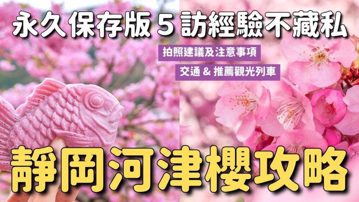 【永久保存版】靜岡伊豆河津櫻攻略🌸 5訪經驗全分享 何時滿開?交通方法?必去必吃?夜櫻?注意事項 【永久保存版】靜岡伊豆河津櫻攻略🌸 5訪經驗全分享 何時滿開?交通方法?必去必吃?夜櫻?注意事項