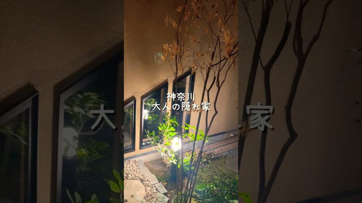 【湯河原】まるで温泉付き別荘。誰にも邪魔されない「大人の隠れ家」を見つけました #湯河原 #温泉 #大人の修学旅行 #一棟貸し #国内旅行 #コスパ宿 #ルームツアー #Vlog #shorts 【湯河原】まるで温泉付き別荘。誰にも邪魔されない「大人の隠れ家」を見つけました #湯河原 #温泉 #大人の修学旅行 #一棟貸し #国内旅行 #コスパ宿 #ルームツアー #Vlog #shorts