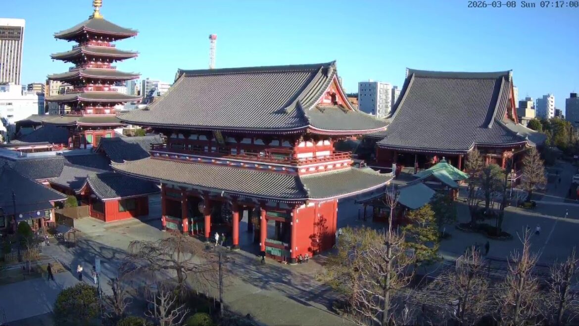 【LIVE CAMERA】浅草ライブカメラ「浅草寺 宝蔵門」（浅草中屋  屋上より）