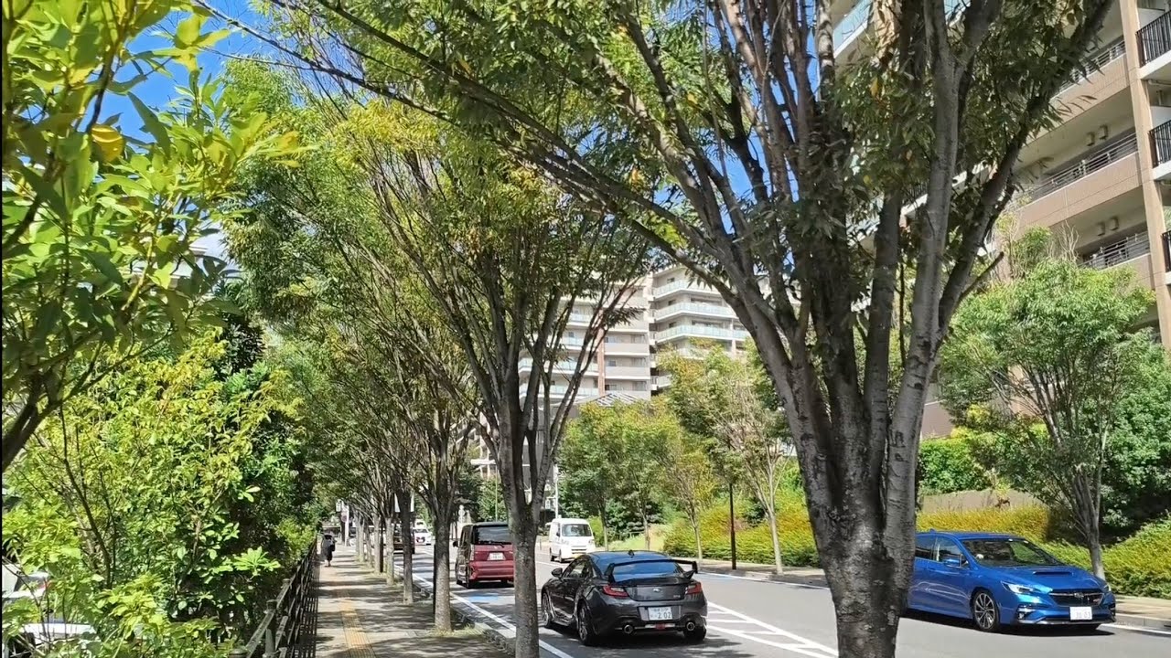 Relaxing Walk in Funabashi, Japan | City Ambience & Scenery 船橋 千葉 日本旅遊 ...