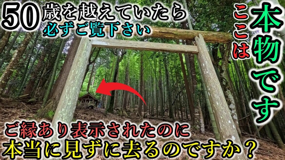 ※ご縁あり導きの神に選ばれました⚠️【京都府福知山市大江町二俣向山 猿田彦神社】 ※ご縁あり導きの神に選ばれました⚠️【京都府福知山市大江町二俣向山 猿田彦神社】