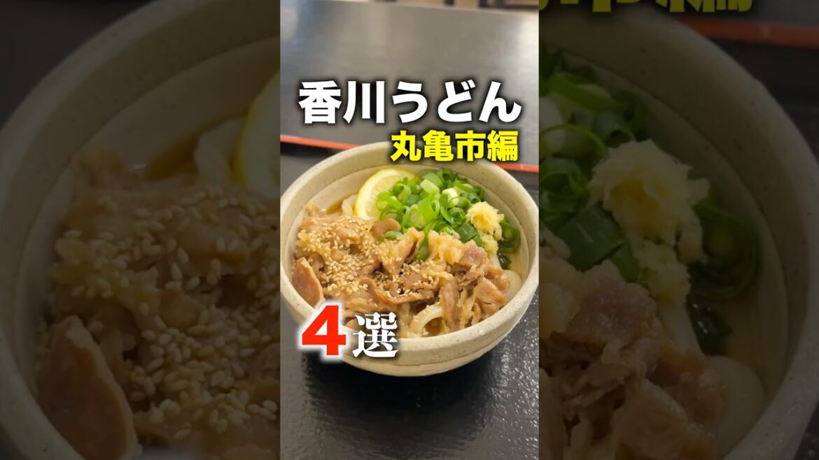 香川で食べたい讃岐うどん４選！ #shorts #日本一周 #グルメ #香川 #うどん