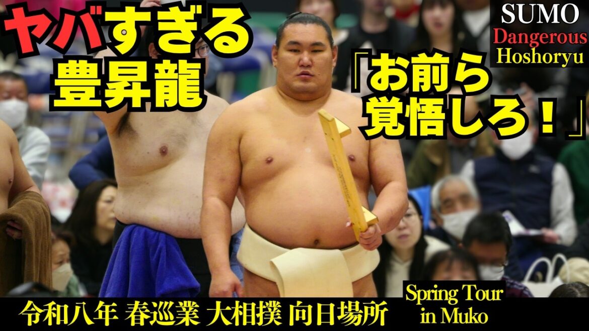 ヤバすぎる横綱 豊昇龍❗Dangerous Hoshoryu【向日場所2026 春巡業 大相撲】