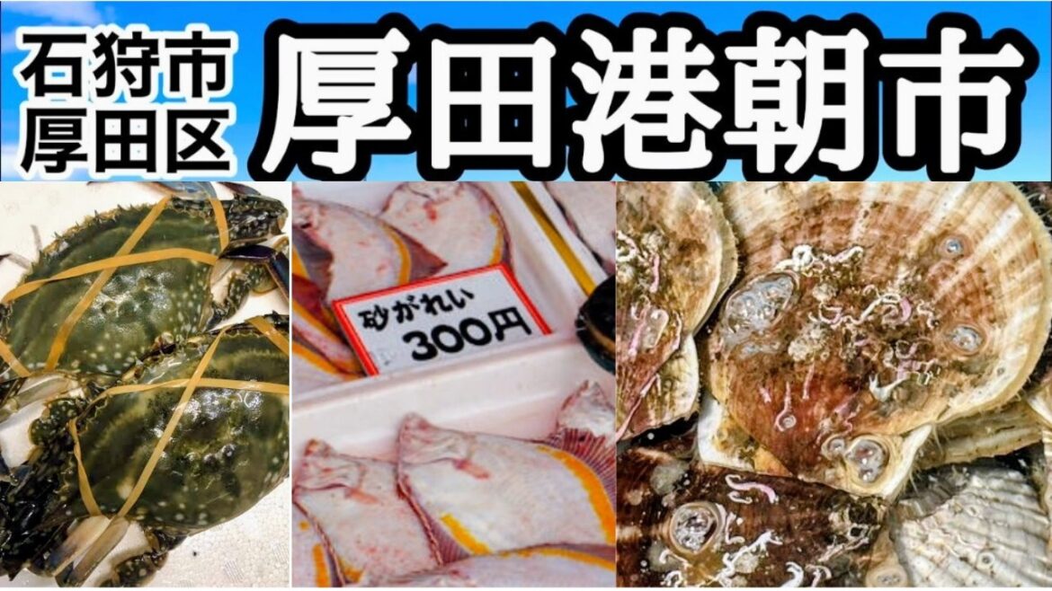 厚田で朝活！漁港の朝市→道の駅→当別ドライブが最高だった