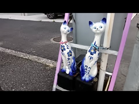 新潟県新潟市中央区三和町 / 250709 📝「信濃川の潮風と下町の情緒が交差する、静謐な居住空間」 新潟県新潟市中央区三和町 / 250709 📝「信濃川の潮風と下町の情緒が交差する、静謐な居住空間」