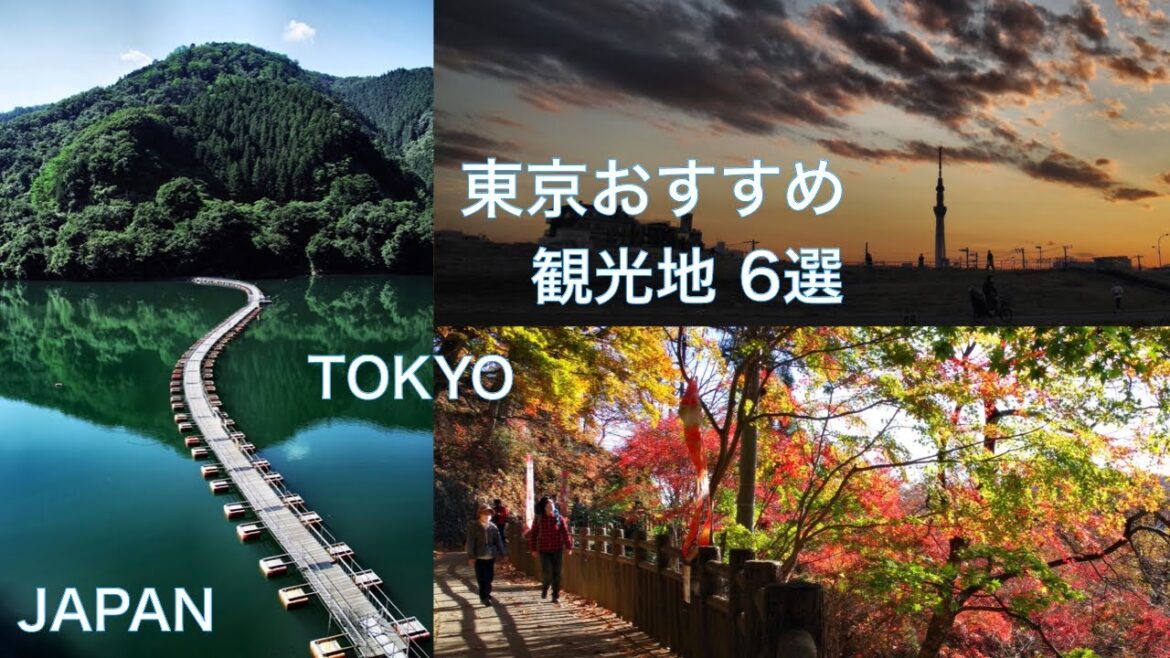 【東京 おすすめ観光名所 6選①】奥多摩湖・氷川渓谷・チームラボ・紅葉登山・ポピー畑・夜桜 Tokyo, Japan 【東京 おすすめ観光名所 6選①】奥多摩湖・氷川渓谷・チームラボ・紅葉登山・ポピー畑・夜桜 Tokyo, Japan