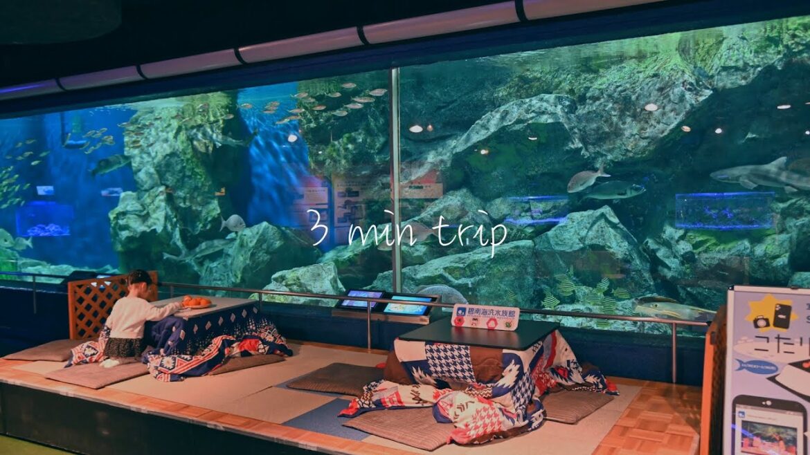 【3 min trip】Hekinan Seaside Aquarium/Aichi, Japan 【3 min trip】Hekinan Seaside Aquarium/Aichi, Japan
