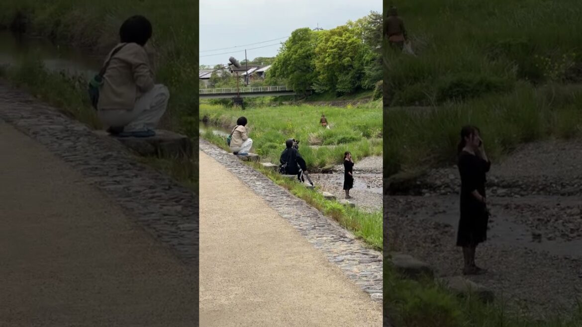 鴨川で撮ります?