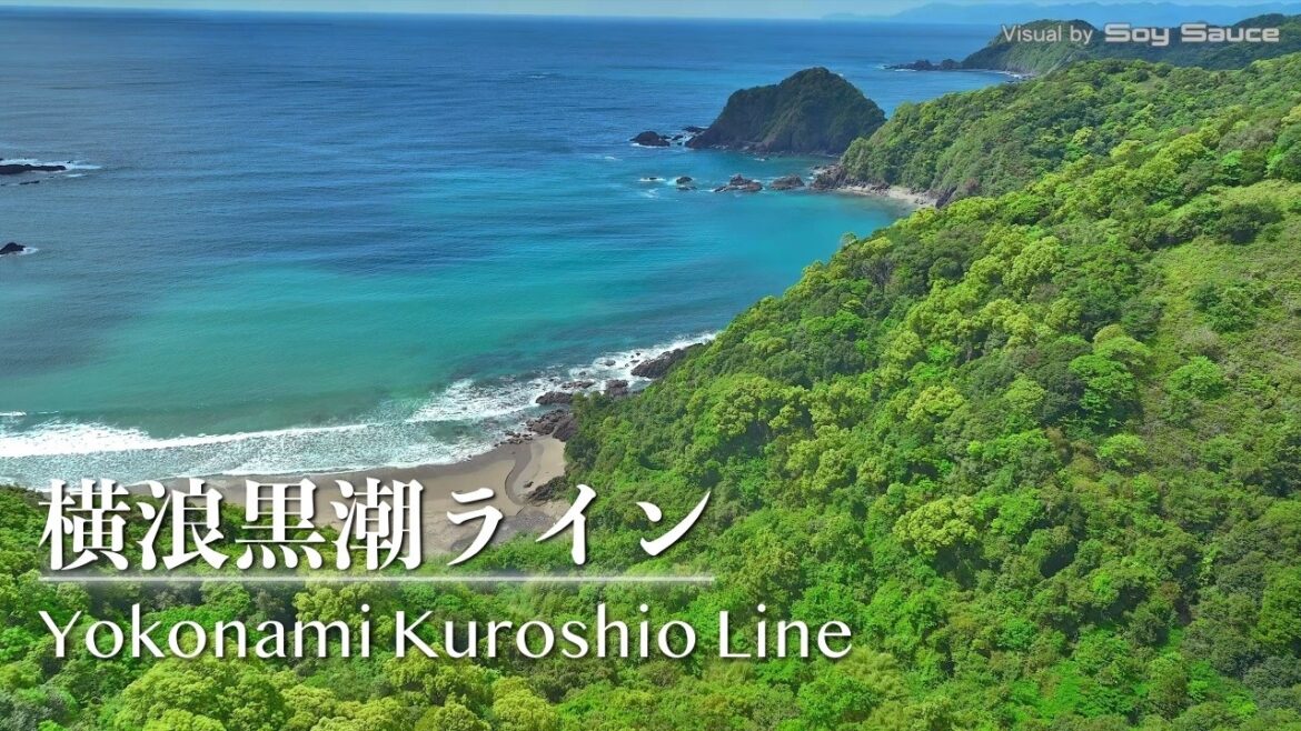 高知県須崎市浦の内 横浪黒潮ライン ドローン 空撮 Drone 4K Mavic3
