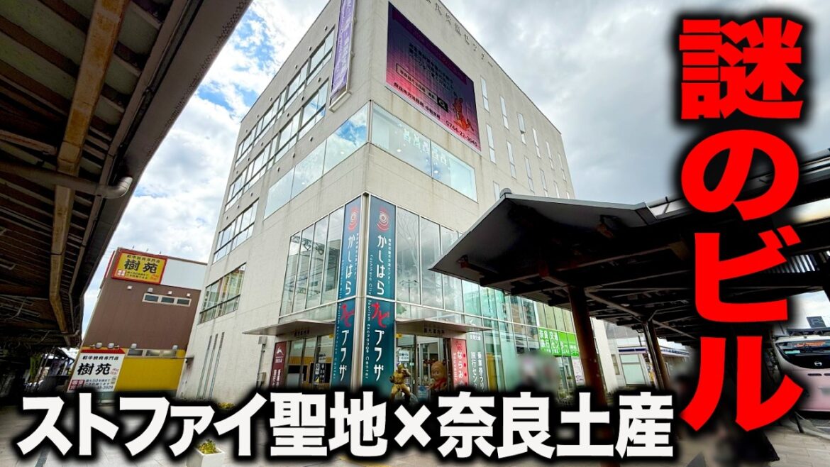 【穴場】ストリートファイターの聖地に建つ“謎の建物”の正体とは？奈良のグルメが集結！