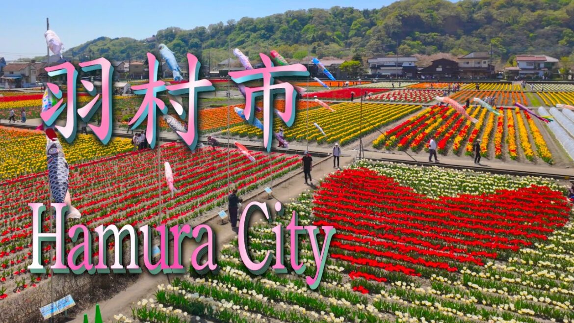 羽村市 東京 音楽編 Hamura City Tokyo Music Version