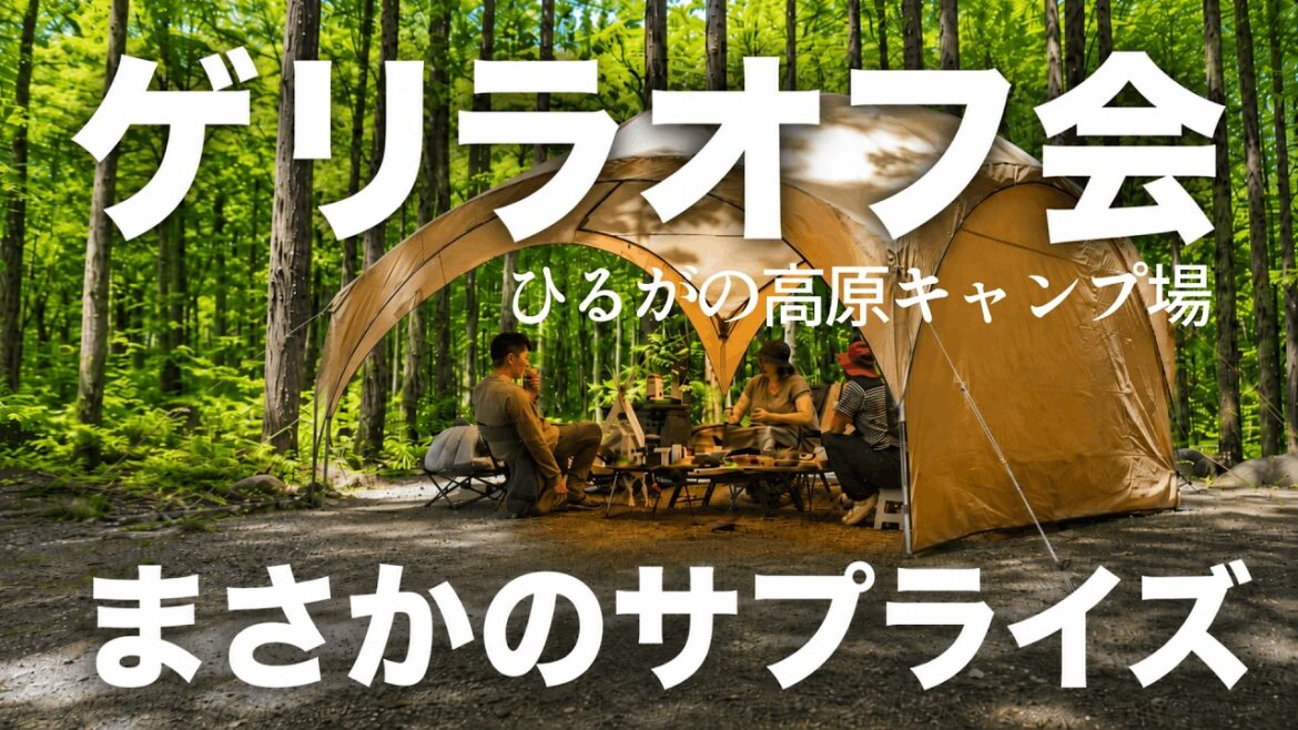 キャンプ ひるがの高原で視聴者さんとオフ会キャンプ 「名古屋名物手羽先」でおもてなし|雪中キャンプで倒壊したコールマン パーティーシェード復活 岐阜県キャンプ場 キャンプ ひるがの高原で視聴者さんとオフ会キャンプ 「名古屋名物手羽先」でおもてなし|雪中キャンプで倒壊したコールマン パーティーシェード復活 岐阜県キャンプ場