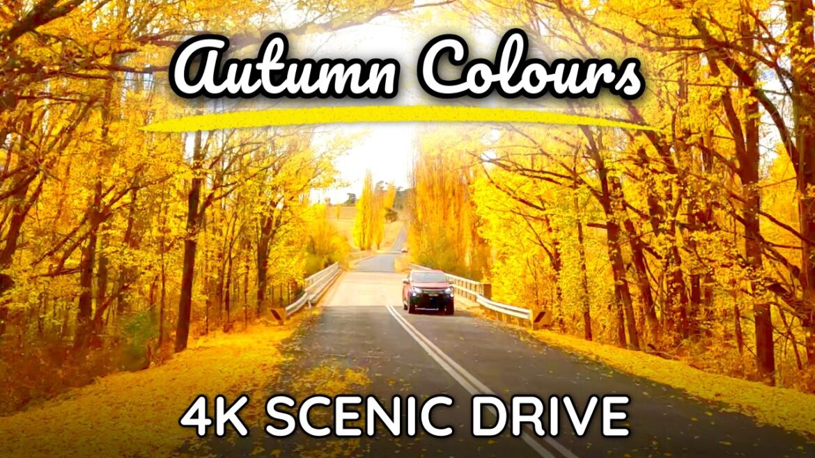 Colours of Autumn | Lovely Australian Countryside Scenic Drive | 4K Slow TV Colours of Autumn | Lovely Australian Countryside Scenic Drive | 4K Slow TV