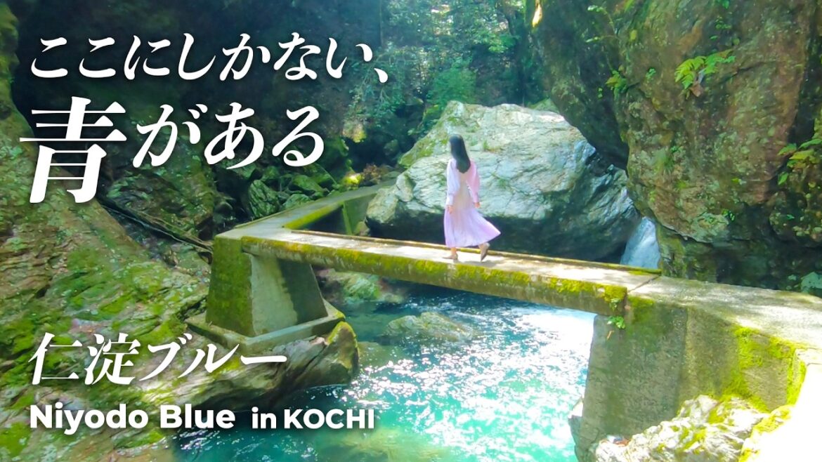 【高知・仁淀ブルーVlog】美しすぎる‼️仁淀川の奇跡の渓谷✨ 【高知・仁淀ブルーVlog】美しすぎる‼️仁淀川の奇跡の渓谷✨