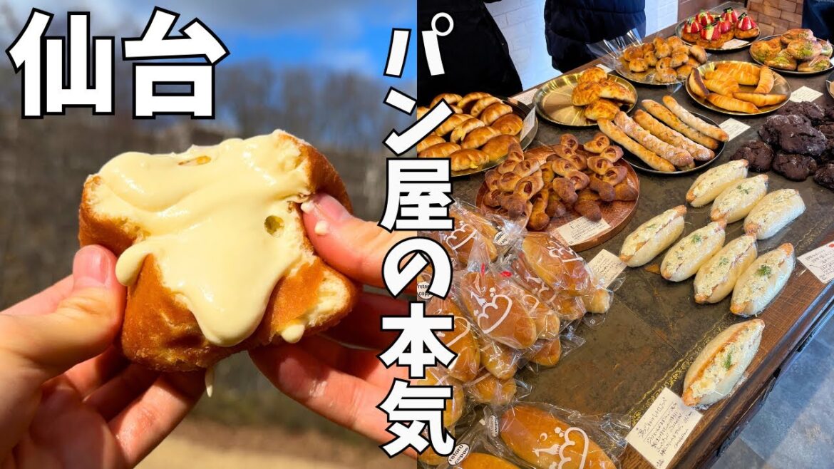 【仙台】至福のおいしさ✨パン屋さんが作る本気のドーナツ🍩 【仙台】至福のおいしさ✨パン屋さんが作る本気のドーナツ🍩