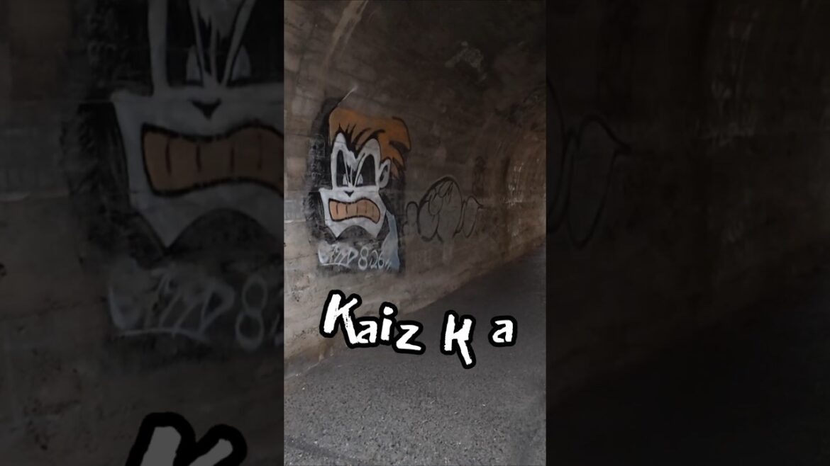 ASMR Walk in Kaizuka  #japan #4kuhd #4kwalk #streetart #walking #asmrwalk