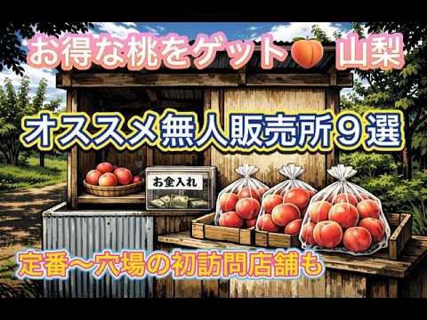 山梨県の格安桃🍑⑤ 無人販売所巡り! はねだし桃を求めて定番から穴場の無人販売所を9か所を訪ねてみた。初訪問も4か所あり。 山梨県の格安桃🍑⑤ 無人販売所巡り! はねだし桃を求めて定番から穴場の無人販売所を9か所を訪ねてみた。初訪問も4か所あり。