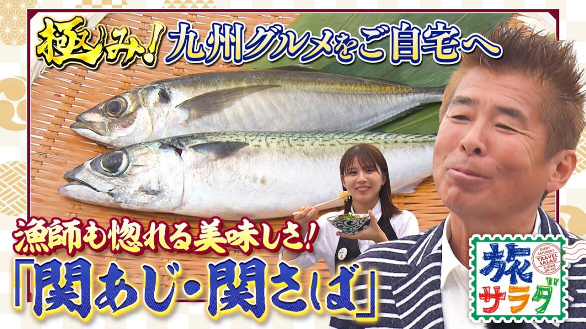 【高級ブランド魚✨】漁師も惚れる!関あじ&関さば 【高級ブランド魚✨】漁師も惚れる!関あじ&関さば