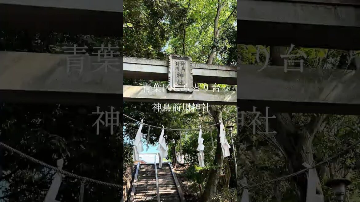 江田けんじの地元さんぽ vol.2／神鳥前川神社・青葉区しらとり台