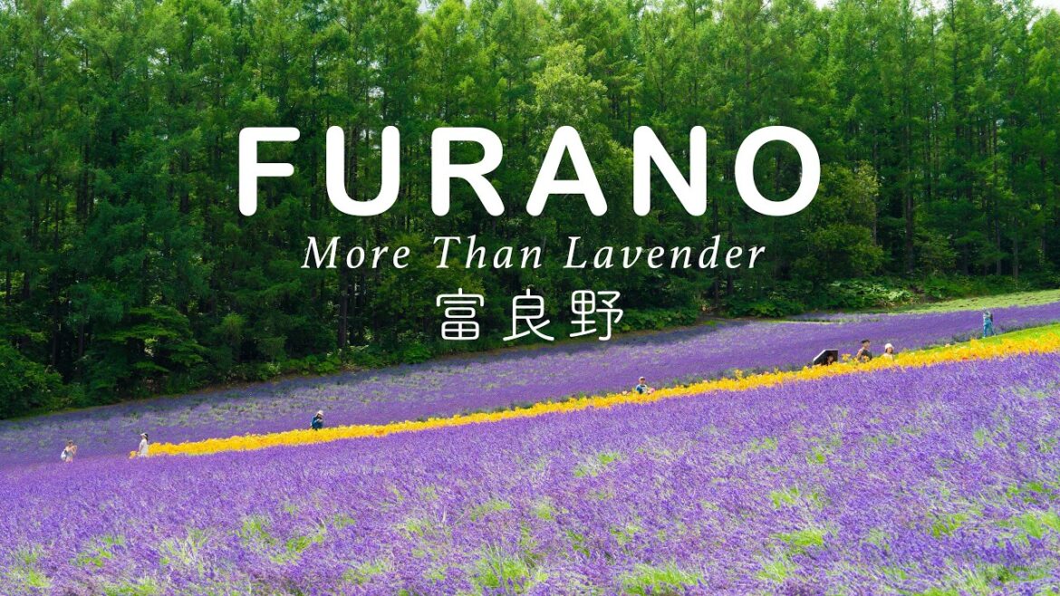 The Last Norokko Ride of the Season | Ningle Terrace & Lavender Farm 🌲🪻 | Hokkaido Japan Travel Vlog The Last Norokko Ride of the Season | Ningle Terrace & Lavender Farm 🌲🪻 | Hokkaido Japan Travel Vlog