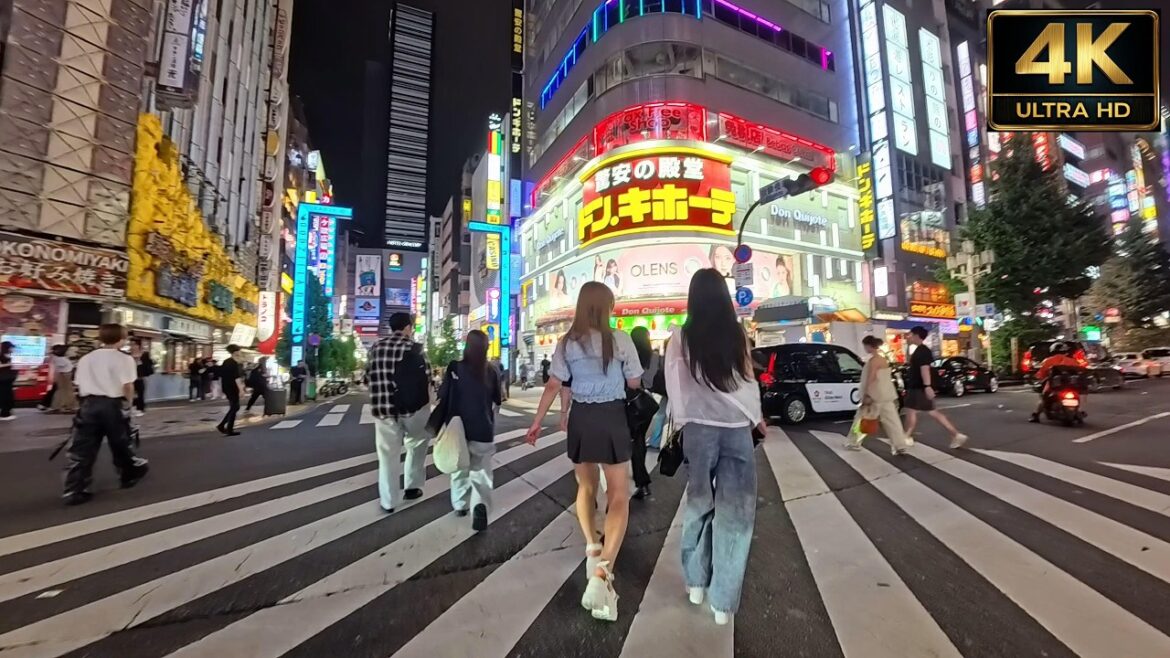 🌃【東京・新宿】終電間際の新宿東口〜歌舞伎町のリアルを歩く|眠らないネオン街を4K HDRで散策 | Tokyo Japan Shinjuku Kabukicho Night walk🚶 🌃【東京・新宿】終電間際の新宿東口〜歌舞伎町のリアルを歩く|眠らないネオン街を4K HDRで散策 | Tokyo Japan Shinjuku Kabukicho Night walk🚶