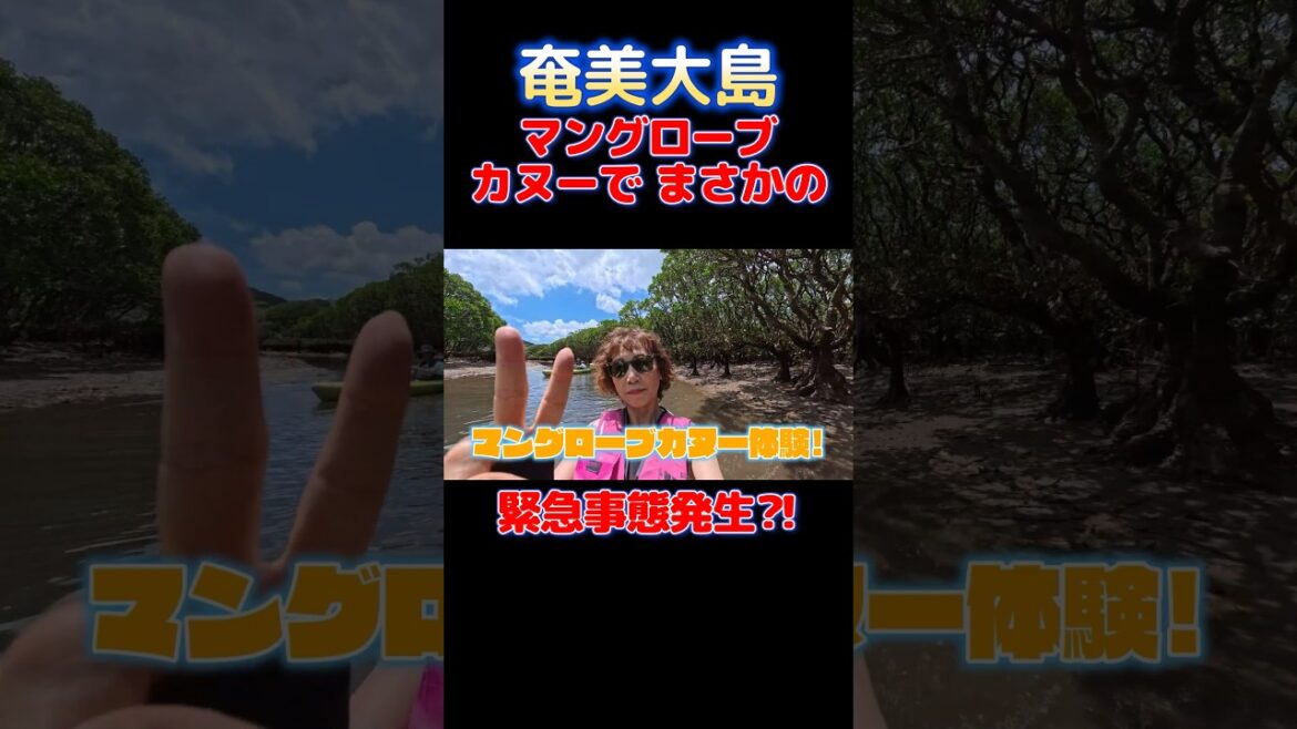 「奄美大島ひとり旅」マングローブカヌー体験でまさかの緊急事態発生⁈ #shorts #奄美大島 #マングローブ #カヌー #ひとり旅 #ひとり旅女子 #自撮り 「奄美大島ひとり旅」マングローブカヌー体験でまさかの緊急事態発生⁈ #shorts #奄美大島 #マングローブ #カヌー #ひとり旅 #ひとり旅女子 #自撮り