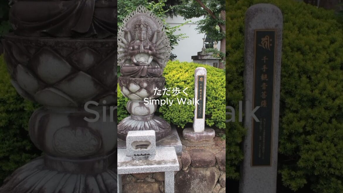 坂戸を歩く 坂戸駅から緑豊かな坂戸神社・古墳群へ | Walking Sakado, Saitama (2026.07) #10 坂戸を歩く 坂戸駅から緑豊かな坂戸神社・古墳群へ | Walking Sakado, Saitama (2026.07) #10