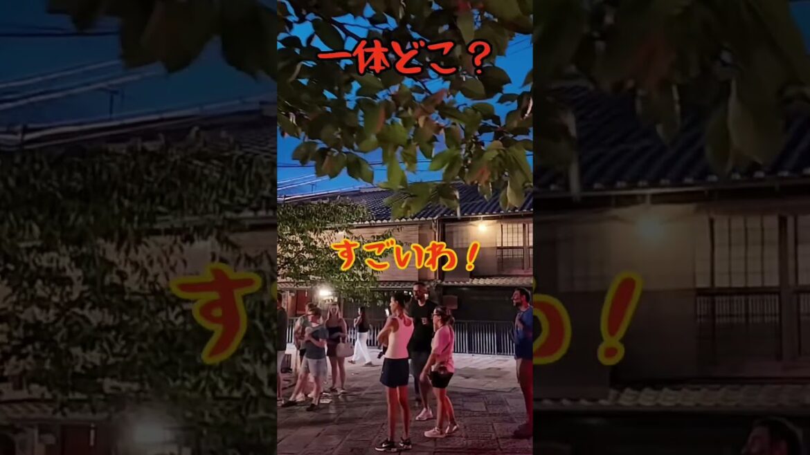 夜の観光ツアーに外国人観光客が集合‼️ #京都観光 #京都 #京都旅行
