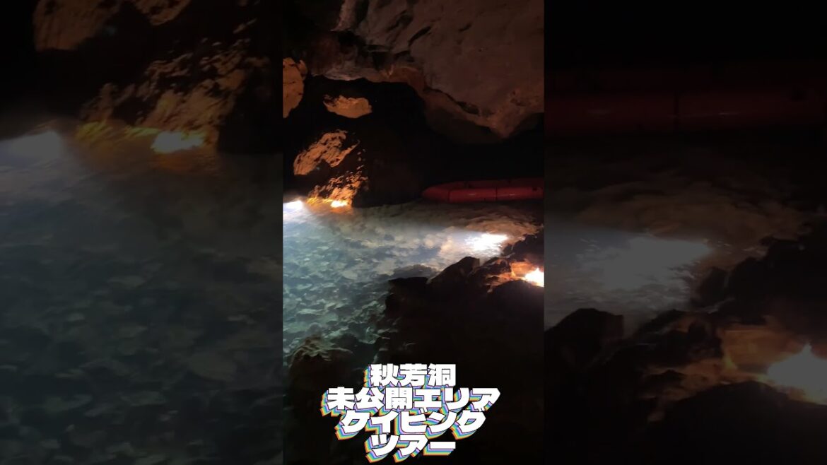【異世界】秋芳洞未公開エリアケイビングツアー