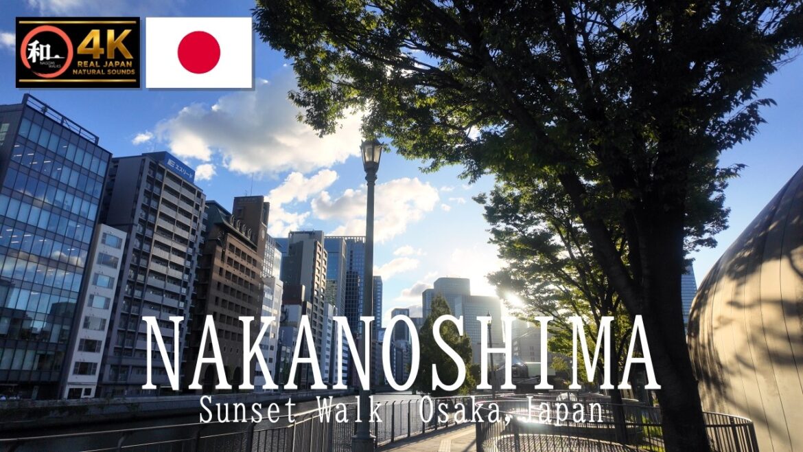 Walking Through Nakanoshima at Sunset 🇯🇵 | Osaka, Japan 4K Walking Tour