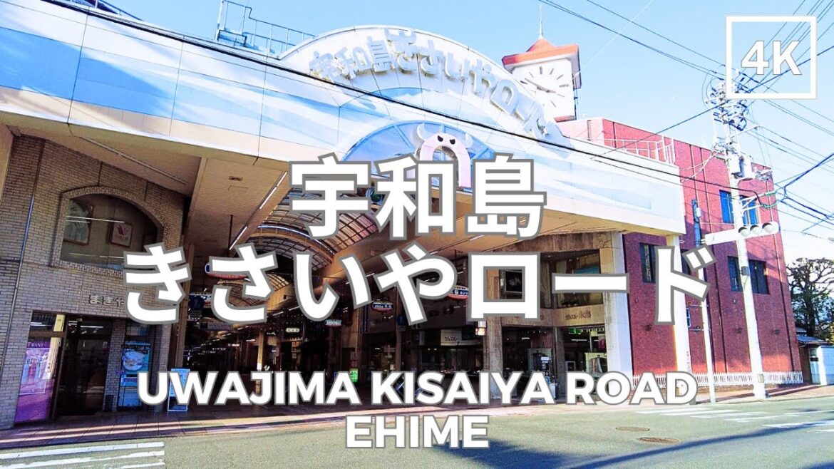 宇和島 きさいやロード | 愛媛県 4K | Uwajima Kisaiya Road, Ehime | DJI Pocket 2 | 2026.01.16 宇和島 きさいやロード | 愛媛県 4K | Uwajima Kisaiya Road, Ehime | DJI Pocket 2 | 2026.01.16