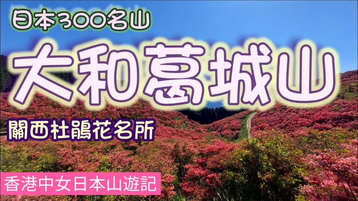奈良《大和葛城山》,關西杜鵑花第一名所,每年4 – 5月山頭一片火紅,吸引無數遊客登山為一賭其壯麗的美景,日本三百名山之一 奈良《大和葛城山》,關西杜鵑花第一名所,每年4 - 5月山頭一片火紅,吸引無數遊客登山為一賭其壯麗的美景,日本三百名山之一