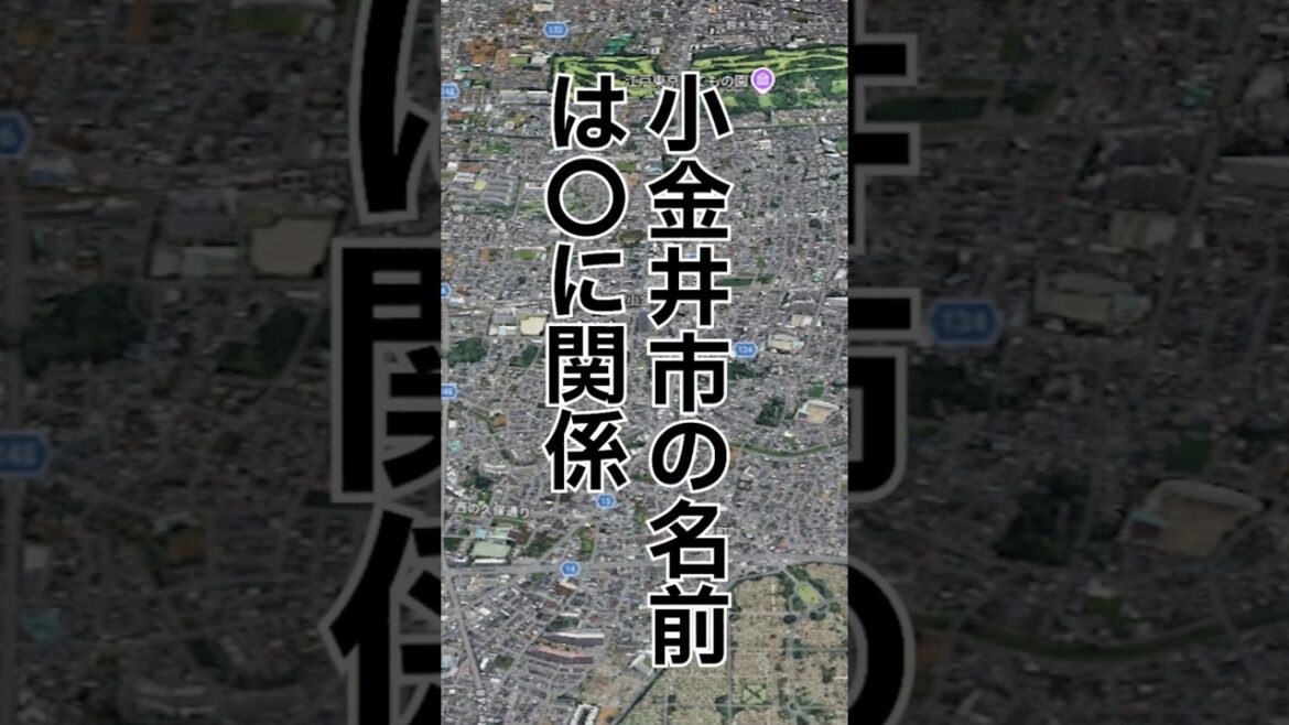 #小金井市　に関する雑学