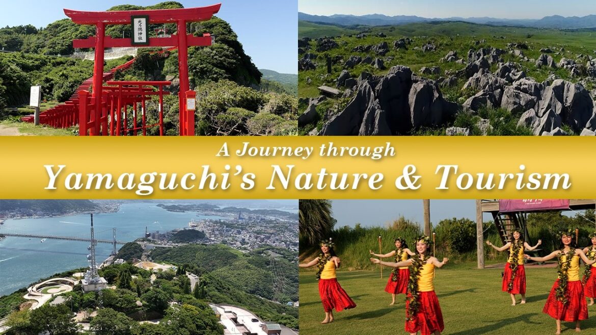 A Journey through Yamaguchi’s Nature and Tourism A Journey through Yamaguchi's Nature and Tourism