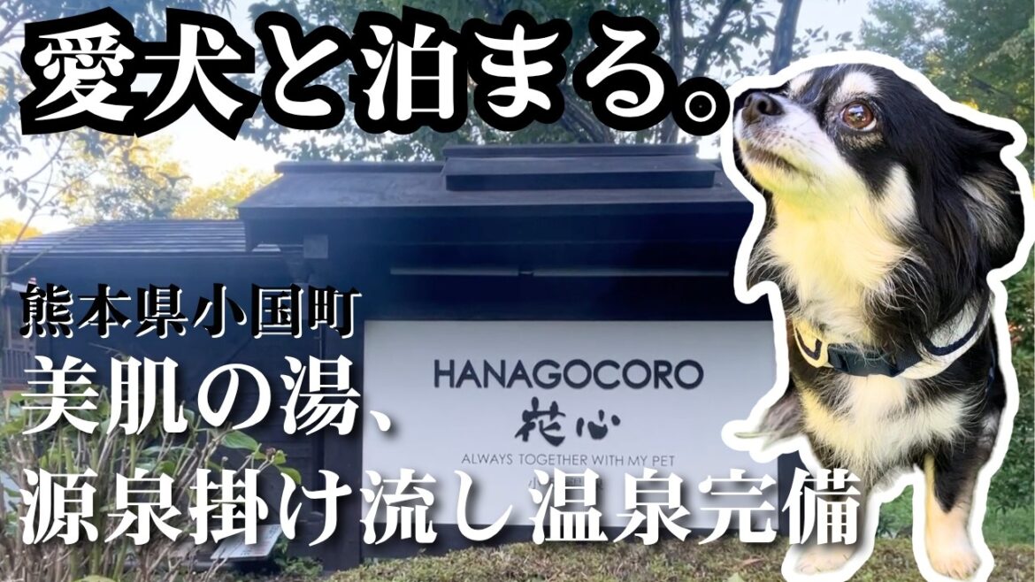 【熊本・小国町】愛犬と泊まれる「小田温泉 離れの宿 花心」全室源泉かけ流し温泉付き!広々ドッグランと絶品料理が堪能できる極上宿 【熊本・小国町】愛犬と泊まれる「小田温泉 離れの宿 花心」全室源泉かけ流し温泉付き!広々ドッグランと絶品料理が堪能できる極上宿
