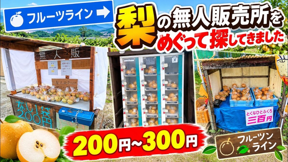 フルーツライン沿いで梨の無人販売所を巡ってきました! フルーツライン沿いで梨の無人販売所を巡ってきました!