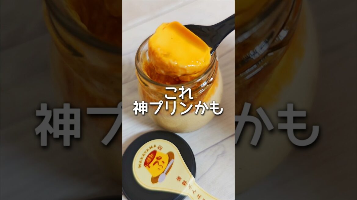 【和歌山グルメ】神プリン見つけた！濃厚クリーミーな絶品プリン🍮✨#和歌山 #和歌山県#和歌山グルメ #和歌山ランチ #shorts